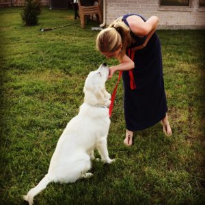 Circle City Dog Training