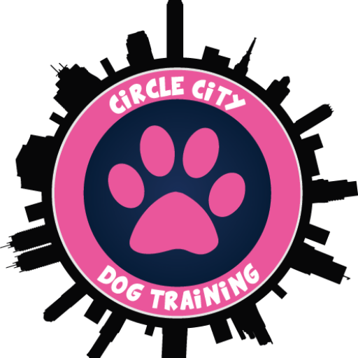 cropped-Circle-City.png