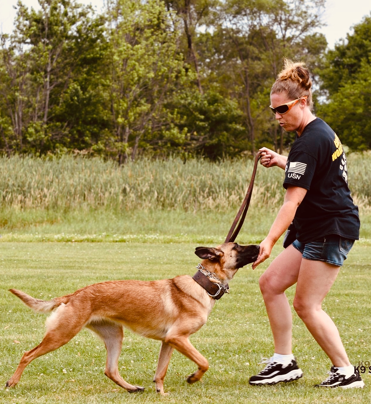 indianapolis dog trainer